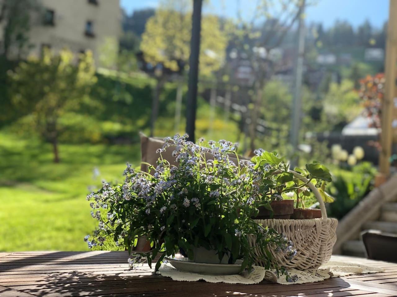Dolomites Charme Chalet Colle Santa Lucia Eksteriør billede